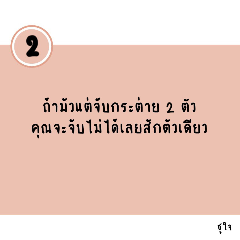 ได้ทุกสิ่งด้วยสิ่งเดียว : The One Thing