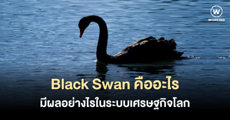 Black Swan