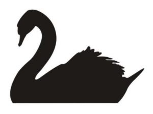 Black Swan