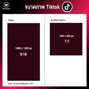 ขนาดภาพ Tiktokโซเชียลมีเดีย
